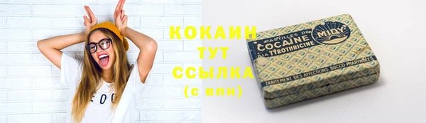 PSILOCYBIN Покачи