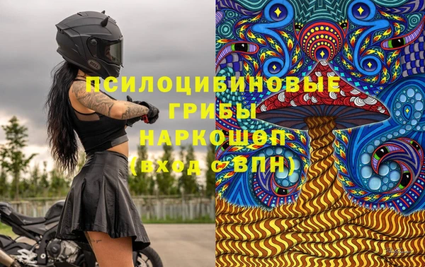 хмурый Саяногорск