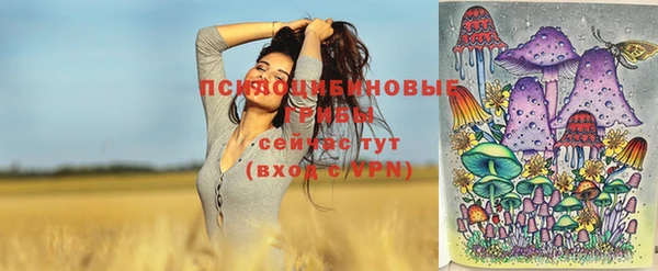 спайс Белокуриха